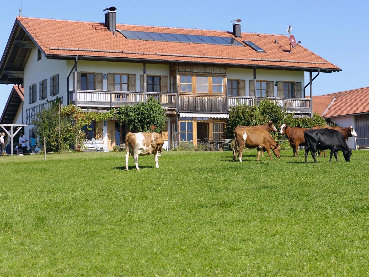 Seeleitenhof Sindelsdorf Esterno foto